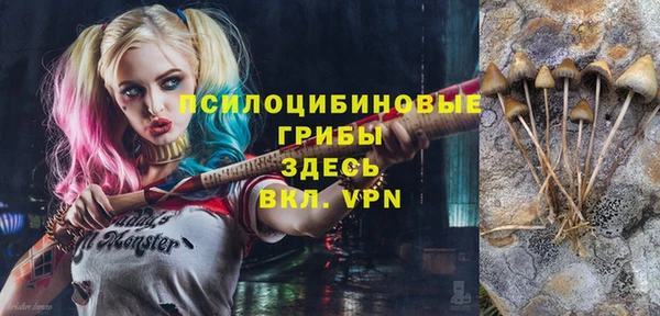 стаф Волосово