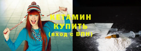 стаф Волосово