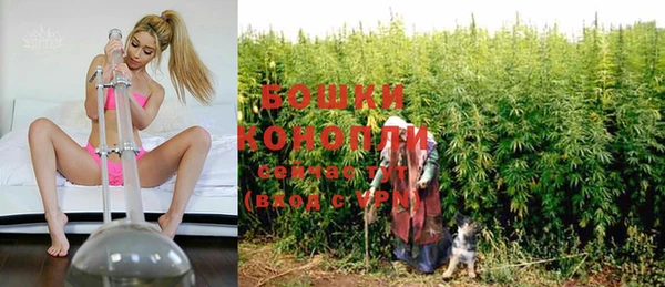 стаф Волосово