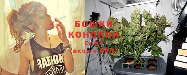стаф Волосово