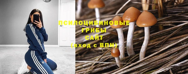 хмурый Волоколамск