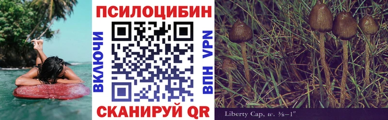 omg как зайти  Ленинск-Кузнецкий  Галлюциногенные грибы GOLDEN TEACHER 